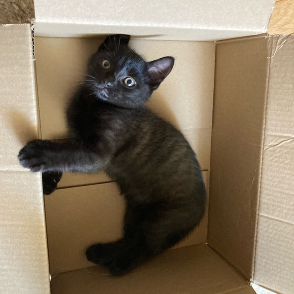 P L E A S E R E A D - Picture 7 of 10